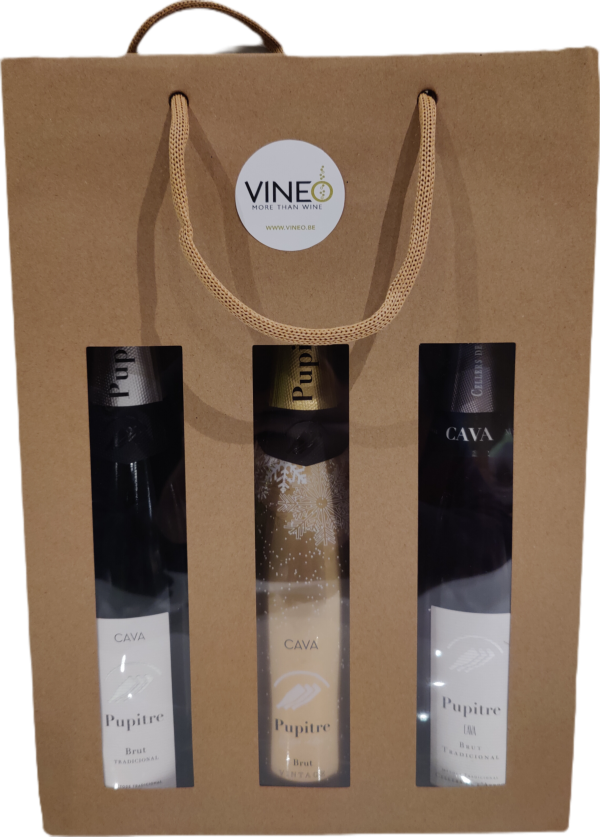 Cellers de l Arboc - DO Cava - Pakket / Paquet Cava Pupitre -  - Blanc