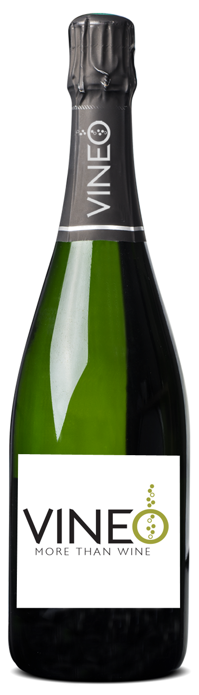 Castell d Or - DO Cava <br /> Pupitre Brut limited edition -  - Wit  75 cl  